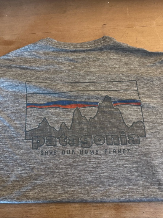 Patagonia Tops - Patagonia Heather Gray Crewneck Tee